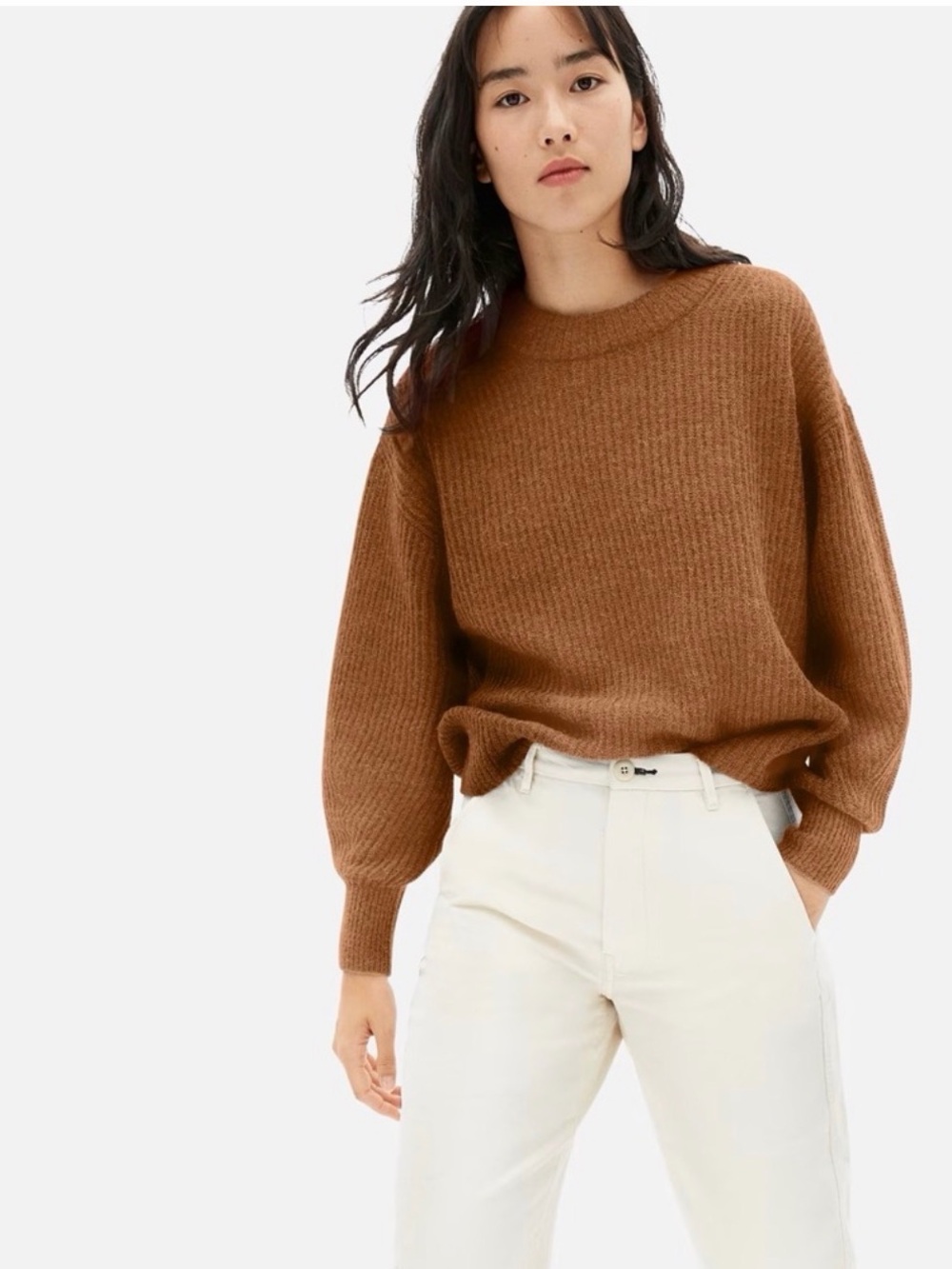 NWOT Everlane Oversized Alpaca Crewneck Sweater in Brown Size Large